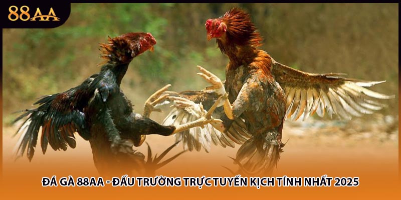 Đá Gà 88AA - Đấu Trường Trực Tuyến Kịch Tính Nhất 2025